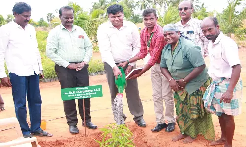 மானூர் அருகே அரசு தோட்டக்கலை பண்ணையில் கலெக்டர் ஆய்வு