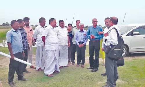 வேதாரண்யத்தில், தொழில்நுட்ப வல்லுநர் குழுவினர் ஆய்வு