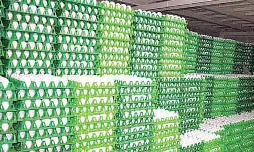 முட்டை விலை மேலும் 5 காசுகள் உயர்வு