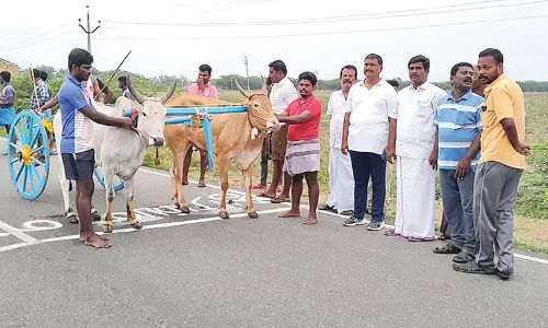 விளாத்திகுளம் அருகே கோவில் கொடை விழாவை முன்னிட்டு  மாட்டு வண்டி பந்தயம்