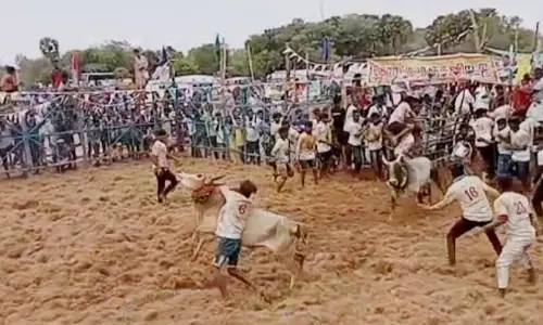 முதல் முறையாக நடந்த ஜல்லிக்கட்டு