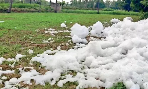 கெலவரப்பள்ளி அணையில் ஆக்கிரமித்துள்ள ஆகாய தாமரைகளை அகற்ற வேண்டும்
