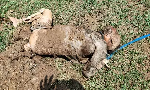 செய்யாற்றில் புதைந்து கிடந்த ஆண் பிணம்