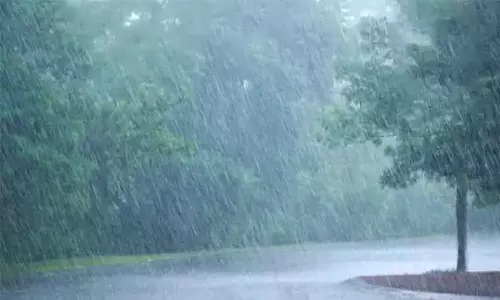 தஞ்சை மாவட்டத்தில் ஒரே நாளில் 299 மி.மீ. மழை பதிவு