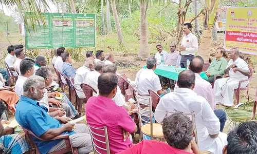 பூச்சி- நோய்களிலிருந்து தென்னை பயிரை பாதுகாப்பது குறித்து விவசாயிகளுக்கு செயல்விளக்கம்