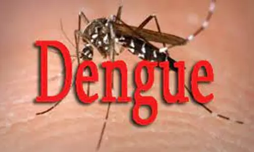 கோவையில் டெங்கு தடுப்பு பணிகள் தீவிரம்