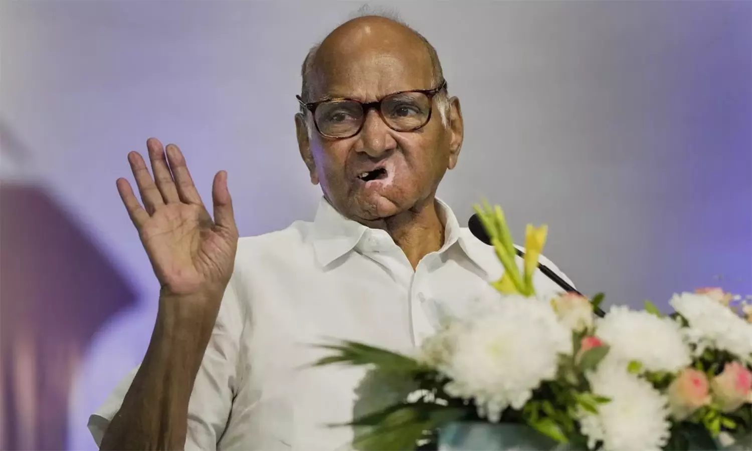 கர்நாடகாவில் காங்கிரஸ் கட்சி ஆட்சியை பிடிக்கும்: சரத்பவார் கணிப்பு கர்நாடகாவில் காங்கிரஸ் கட்சி ஆட்சியை பிடிக்கும்: சரத்பவார் கணிப்பு