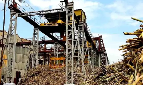 அமராவதி  சா்க்கரை ஆலையில் கலெக்டர் ஆய்வு