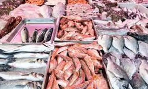 மாயனுார் கதவணை அருகில் மீன்கள் விற்பனை மும்முரம்