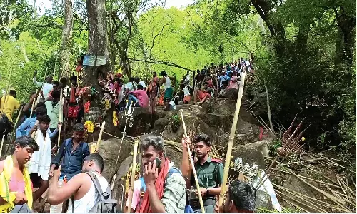 கடந்த 3 நாட்களில் வெள்ளியங்கிரி மலை ஏறிய 30 ஆயிரம் பக்தர்கள்