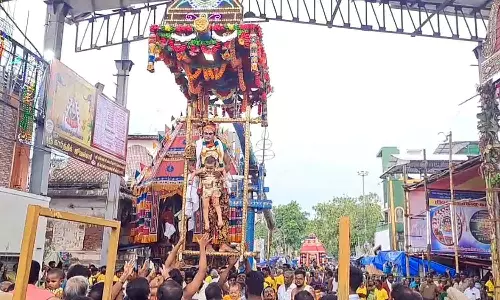 நெல்லுக்கடை மாரியம்மன் கோவிலில் செடில் உற்சவம்