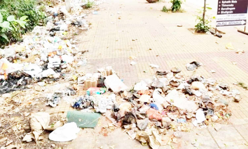 திருவண்ணாமலை கிரிவல பாதையில் குப்பை மற்றும் உணவு கழிவுகளை அகற்றிய தூய்மை பணியாளர்கள்