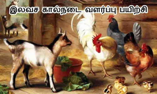 தஞ்சையில் நாளை கால்நடை வளர்ப்பு இலவச பயிற்சி