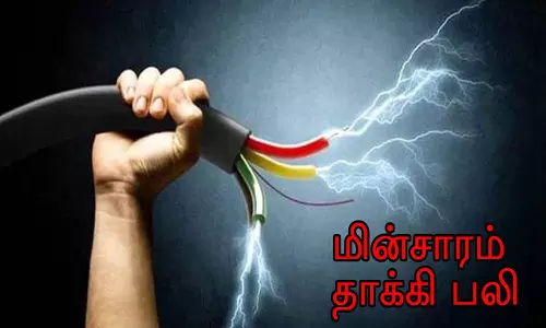 செய்யாறு அருகே தொழிலாளி மின்சாரம் தாக்கி பலி