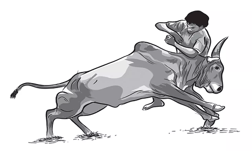 மாடு முட்டி வாலிபர் சாவு