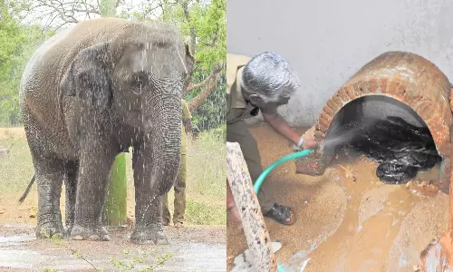 கோடை விடுமுறை- வண்டலூர் பூங்காவில் ஒரேநாளில் 25 ஆயிரம் பேர் குவிந்தனர்