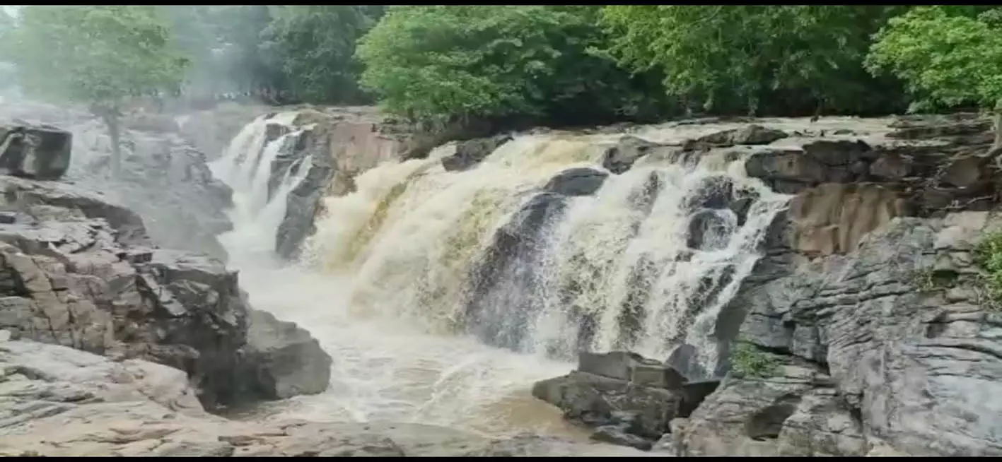 ஒகேனக்கல்லுக்கு நீர்வரத்து 5 ஆயிரம் கன அடியாக நீடிப்பு ஒகேனக்கல்லுக்கு நீர்வரத்து 5 ஆயிரம் கன அடியாக நீடிப்பு