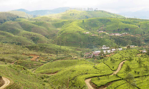 ஏலகிரி மலையில் 27,28-ந் தேதிகளில் கோடை விழா?