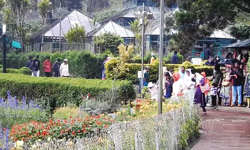 சாரல் மழையில் உற்சாகம் : விளையாட்டு மைதானமாக மாறிய பிரையண்ட் பூங்கா