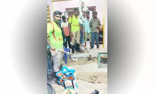 பேரணாம்பட்டில் குடியிருப்புக்குள் புகுந்த பாம்பு