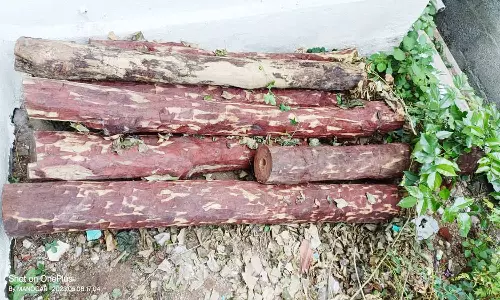 ரூ.3 லட்சம் செம்மர கட்டைகள் பறிமுதல்