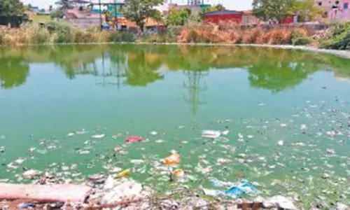 குளத்தின் ஆக்கிரமிப்புகளை அகற்றி சீரமைக்க வேண்டும்