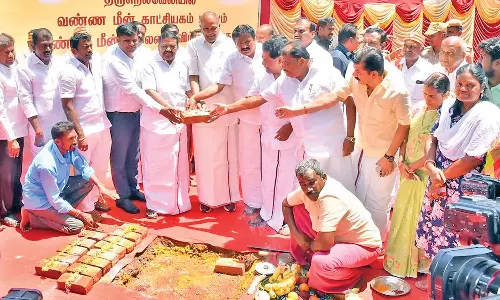 தென்காசி மாவட்டத்தில் அரசு கால்நடை கல்லூரி அமைக்க பரிசீலிக்கப்படும் - அமைச்சர் அனிதா ராதாகிருஷ்ணன் பேட்டி