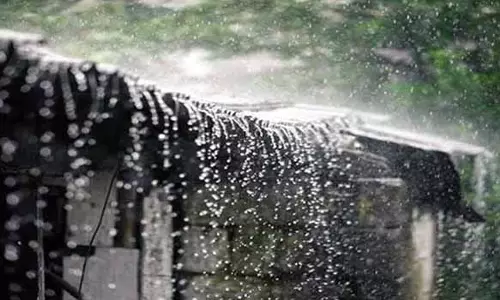 சேலத்தில் பரவலாக மழை ஓமலூரில் அதிகபட்சமாக 35 மி.மீ. பதிவு