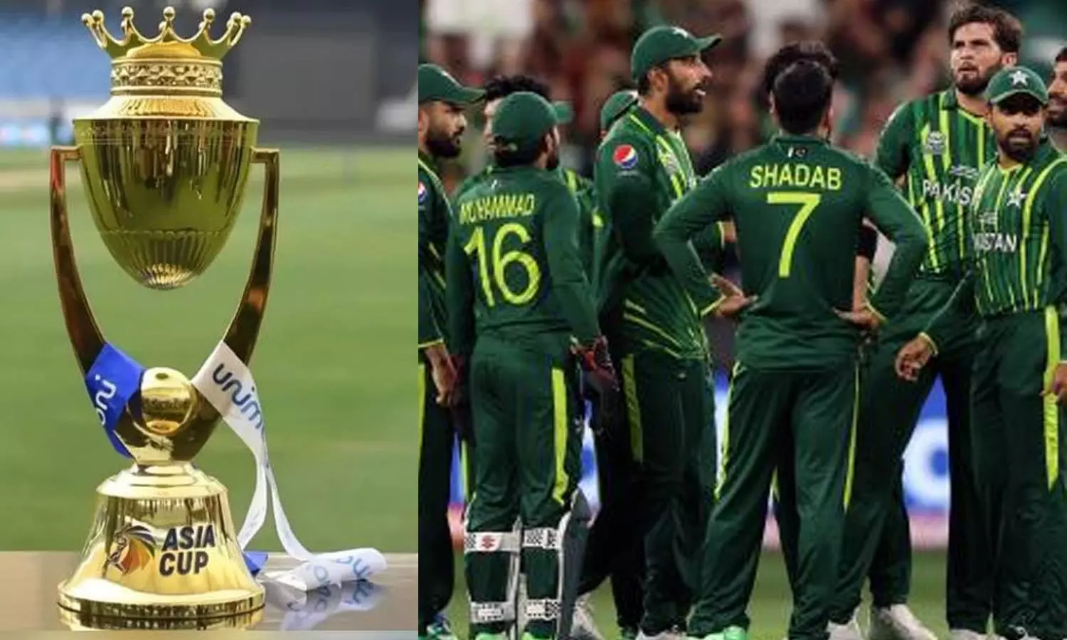 ஆசிய கோப்பையை புறக்கணிப்போம்- பாகிஸ்தான் கிரிக்கெட் வாரியம் மிரட்டல்