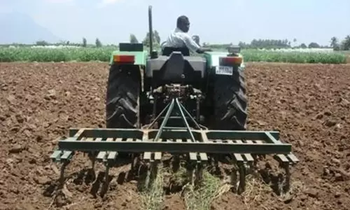 கோடை உழவு செய்து மக்காச்சோள படைப்புழுவை கட்டுப்படுத்தலாம்-வேளாண்மை இணை இயக்குநர் ஆலோசனை