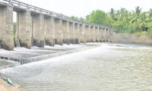 குமரியில் பரவலாக மழை சுருளோட்டில் 80.6 மில்லி மீட்டர் பதிவு