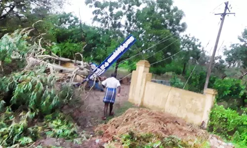 முறிந்து விழுந்த மரங்களை அப்புறப்படுத்திய தீயணைப்பு துறையினர்