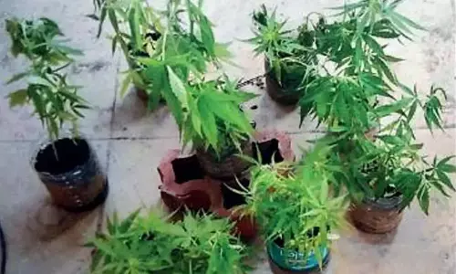 காட்டுமன்னார்கோவில் அருகே உணவு டெலிவரி மூலம் நூதன முறையில் கஞ்சா விற்ற வாலிபர்