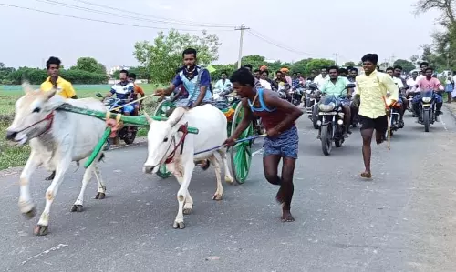 தி.மு.க. சார்பில் மாட்டுவண்டி பந்தயம்