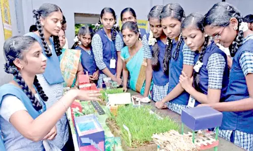 அரசு பள்ளியில் அறிவியல் திருவிழா