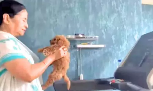 நாய்க்குட்டியை கையில் வைத்து கொண்டு உடற்பயிற்சி செய்யும் மம்தா பானர்ஜி