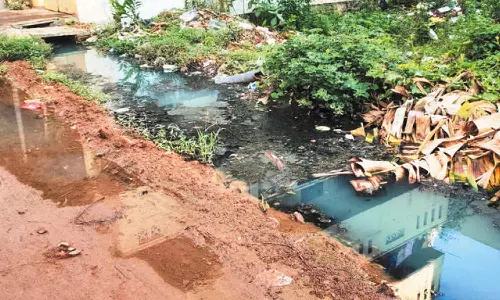 குடியிருப்பு பகுதியில் தேங்கி நிற்கும் கழிவுநீர்- சுகாதார சீர்கேட்டால் மக்கள் அவதி