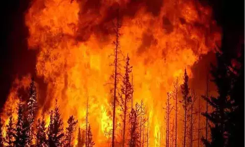 ரஷியாவில் சோகம் - காட்டுத்தீயில் சிக்கி 21 பேர் பலி