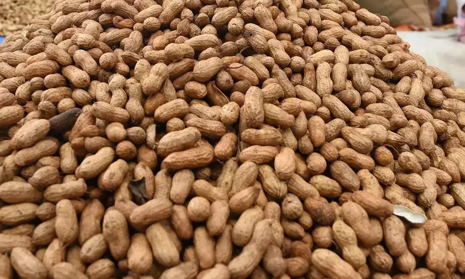 நிலக்கடலை ரூ.3¾ லட்சத்துக்கு ஏலம்