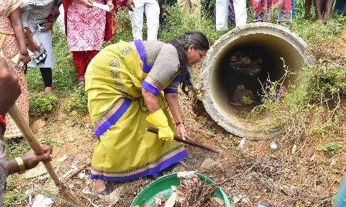 பெரம்பலூர் அருகே மூங்கில்பாடி பட்டு குளம்  தூய்மைப்படுத்தும் பணி
