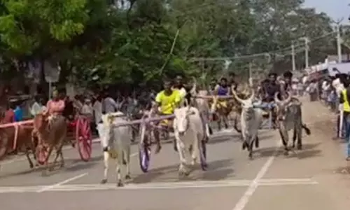 அறந்தாங்கி அருகே நடைபெற்ற எல்கை பந்தயத்தில் சீறிபாய்ந்த மாடுகள், குதிரைகள்