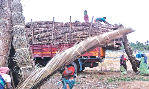 சேலம் மாவட்டத்தில் நவீனத்தால் நலிந்து வரும் கீற்று முடையும் தொழில்