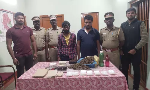 கோத்தகிரியில் கஞ்சா விற்பனை செய்த வடமாநில வாலிபர்கள் 2 பேர் கைது