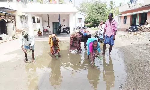 சாலையில் பெண்கள் நாற்று நடும் போராட்டம்