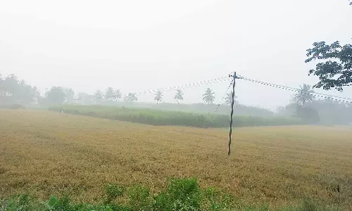 போளூரில் பனிமூட்டம்