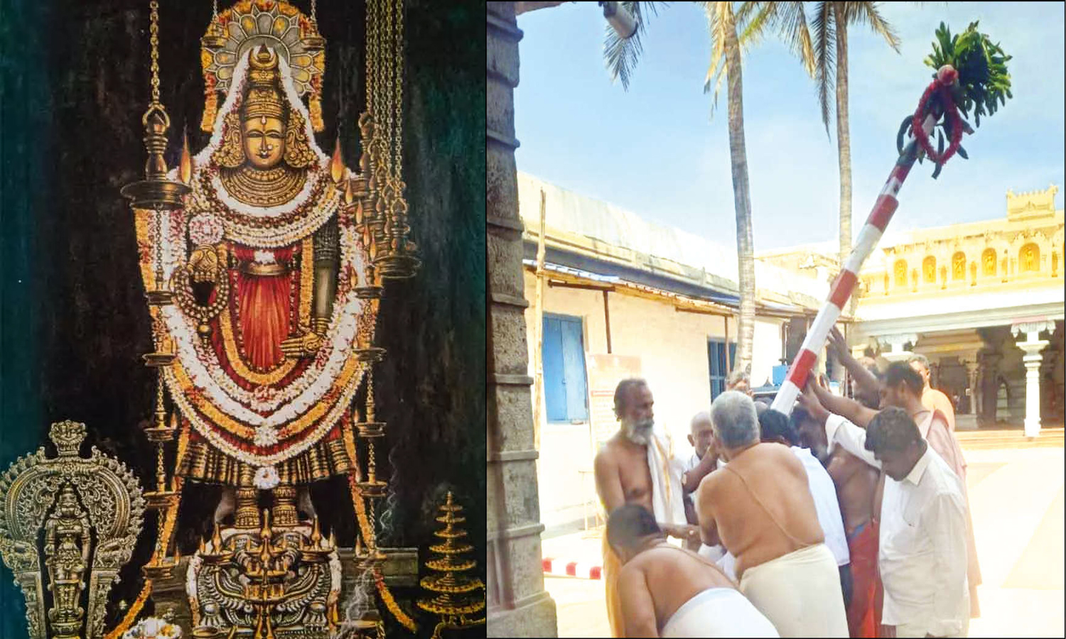 கன்னியாகுமரி பகவதி அம்மன் கோவிலில் வைகாசி விசாக திருவிழா கால்நாட்டு நிகழ்ச்சி