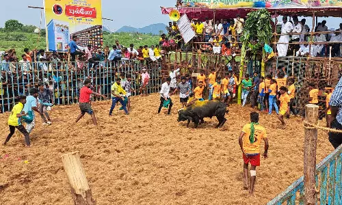நத்தம் அருகே ஜல்லிக்கட்டு சீறிப்பாய்ந்த காளைகளை வீரத்துடன் அடக்கிய காளையர்