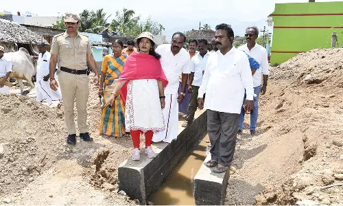 தேனி மாவட்ட பேரூராட்சிகளில் வளர்ச்சி பணிகள் குறித்து கலெக்டர் நேரடி ஆய்வு
