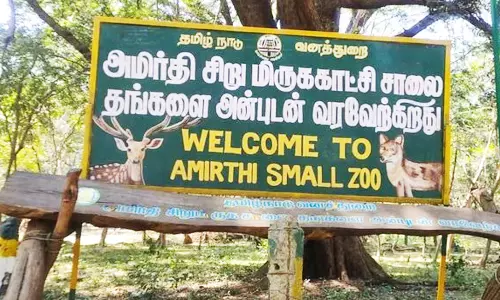 வேலூர் அமிர்தி பூங்காவிற்கு வெள்ளேரிமான், 6 வகையான பாம்புகள் கொண்டுவர ஏற்பாடு