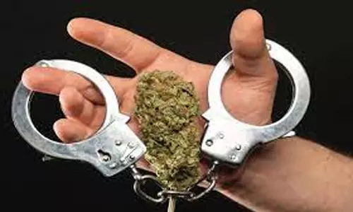 மலை கிராமத்தில் கஞ்சா விற்ற வாலிபர் கைது